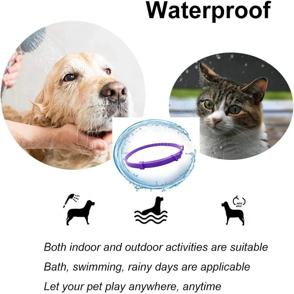 Calming Collar for Cats Pet Calming Pheromone Collar for Cats Dogs Calming Collar for Anxiety Effective Relieve Anxiety Stress