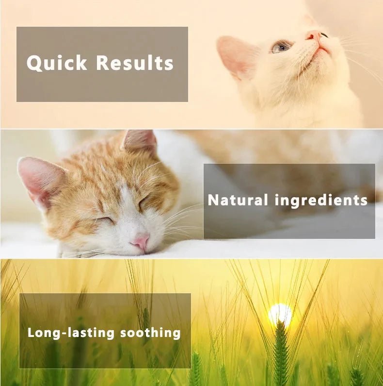 Calming Collar for Cats Pet Calming Pheromone Collar for Cats Dogs Calming Collar for Anxiety Effective Relieve Anxiety Stress - Furlieve