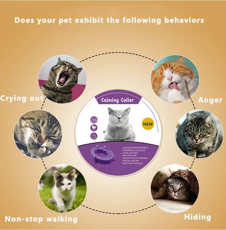 Calming Collar for Cats Pet Calming Pheromone Collar for Cats Dogs Calming Collar for Anxiety Effective Relieve Anxiety Stress - Furlieve