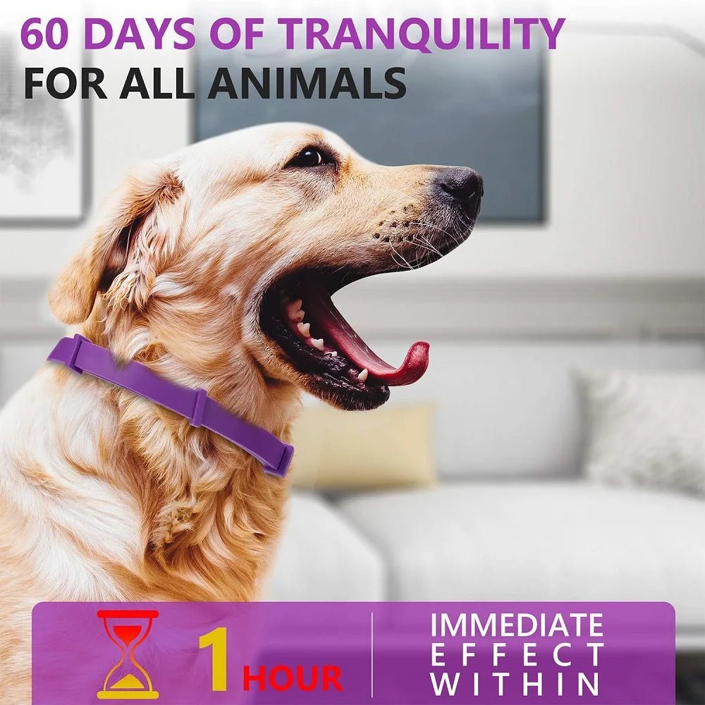 Pet Calming Collar For Cats Dogs Adjustable Anxiety Pheromone Reducing Pet Collar Lasting Natural Calm Relax Soothing Collars - Furlieve