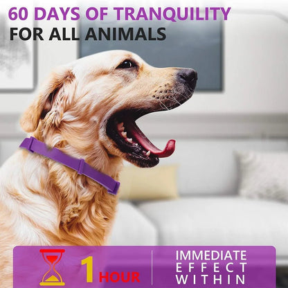 Pet Calming Collar For Cats Dogs Adjustable Anxiety Pheromone Reducing Pet Collar Lasting Natural Calm Relax Soothing Collars - Furlieve