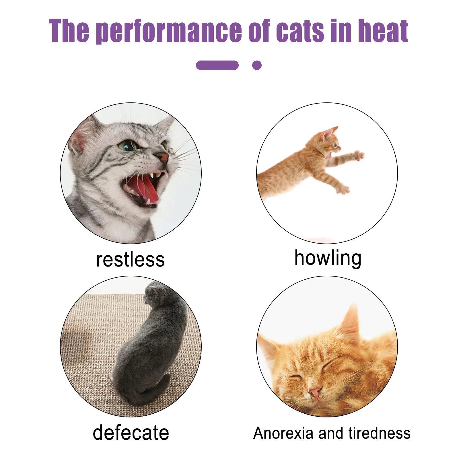 Pet Calming Spray Pheromone Mood Calming Diffuser Improve Estrus Agitation Anxiety Relief Prevent Howling Cat Dog Health Supply - Furlieve