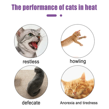 Pet Calming Spray Pheromone Mood Calming Diffuser Improve Estrus Agitation Anxiety Relief Prevent Howling Cat Dog Health Supply - Furlieve